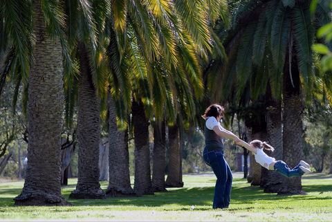 Jellicoe Park - Attractions Sydney 0