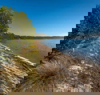 Jewfish Walk - Attractions Sydney