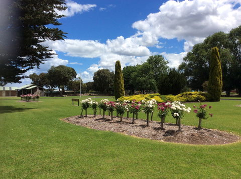 Jubilee Park - Attractions Sydney 1