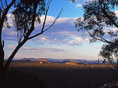 Ka Ka Mundi, Carnarvon National Park - Attractions Sydney 0