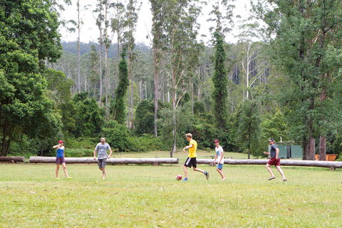 Kerewong State Forest - Attractions Sydney 1