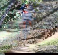 Kidsons Cycles - Attractions Sydney