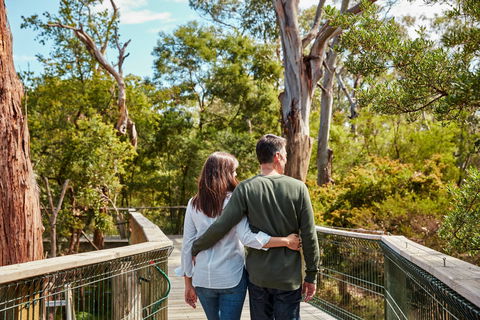 Koala Conservation Reserve - Attractions Sydney 2