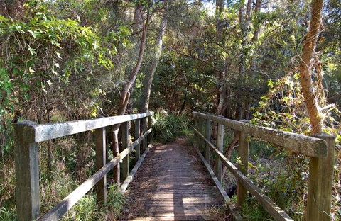 Lake Macquarie State Conservation Area - Attractions Sydney 1