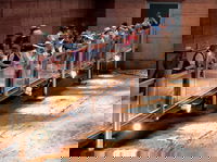 Lark Quarry Conservation Park