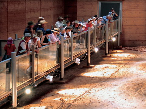 Lark Quarry Conservation Park - Attractions Sydney 0
