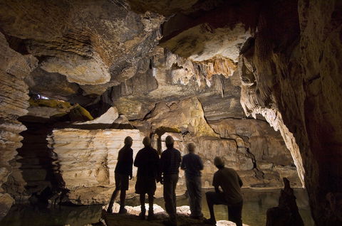 Mimbi Caves - Attractions Sydney 2