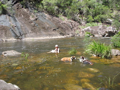 Mount Boss State Forest - Attractions Sydney 0
