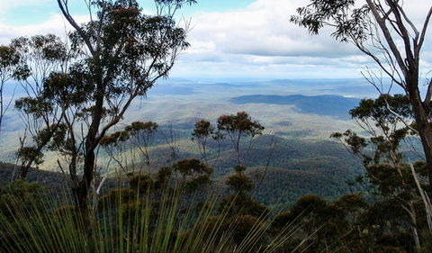 Mount Imlay National Park - Attractions Sydney 0