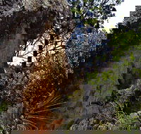 Mystery Face Walking Track - Attractions Sydney
