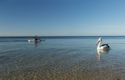 North Beach - Attractions Sydney 1