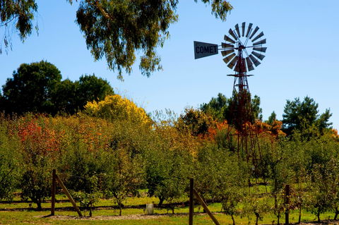Orange Botanic Gardens - Attractions Sydney 2
