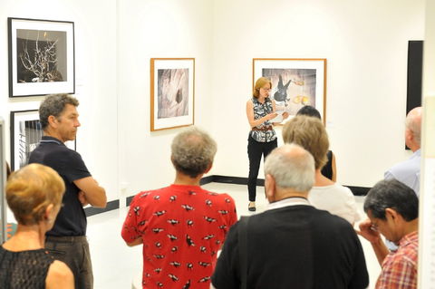 Pine Rivers Art Gallery - Attractions Sydney 1