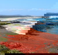 Red Cliff - Attractions Sydney