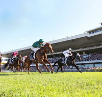 Rosehill Gardens Racecourse - Attractions Sydney