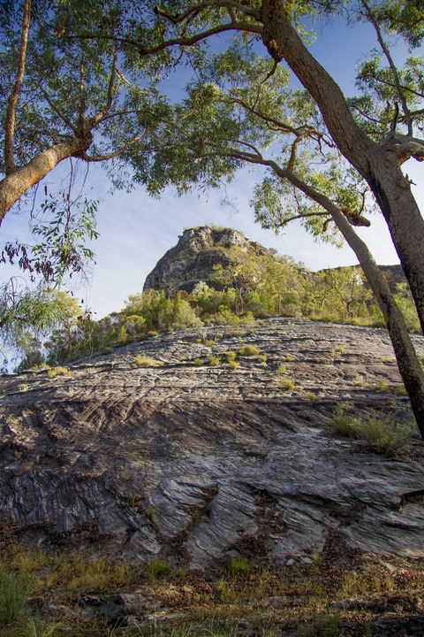 Salvator Rosa, Carnarvon National Park - Attractions Sydney 1