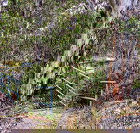 Sawpit Walking Track - Attractions Sydney