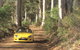 Scotsdale Tourist Drive - thumb 0