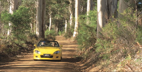 Scotsdale Tourist Drive - Attractions Sydney 0