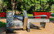 Sculpture Garden Campbelltown - thumb 1