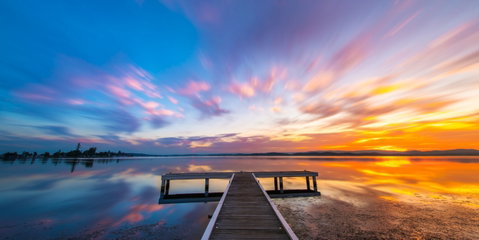 Squid Ink Jetty - Attractions Sydney 0