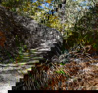Starlights Trail - Attractions Sydney
