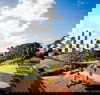 Sydney Park - Attractions Sydney