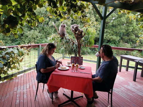The Aussie Stop Offering Breakfast With Koalas - Attractions Sydney 0