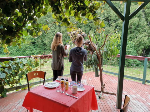 The Aussie Stop Offering Breakfast With Koalas - Attractions Sydney 2