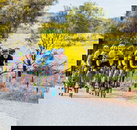 The Heron's Highway - Avon River Cycle Trail - Attractions Sydney