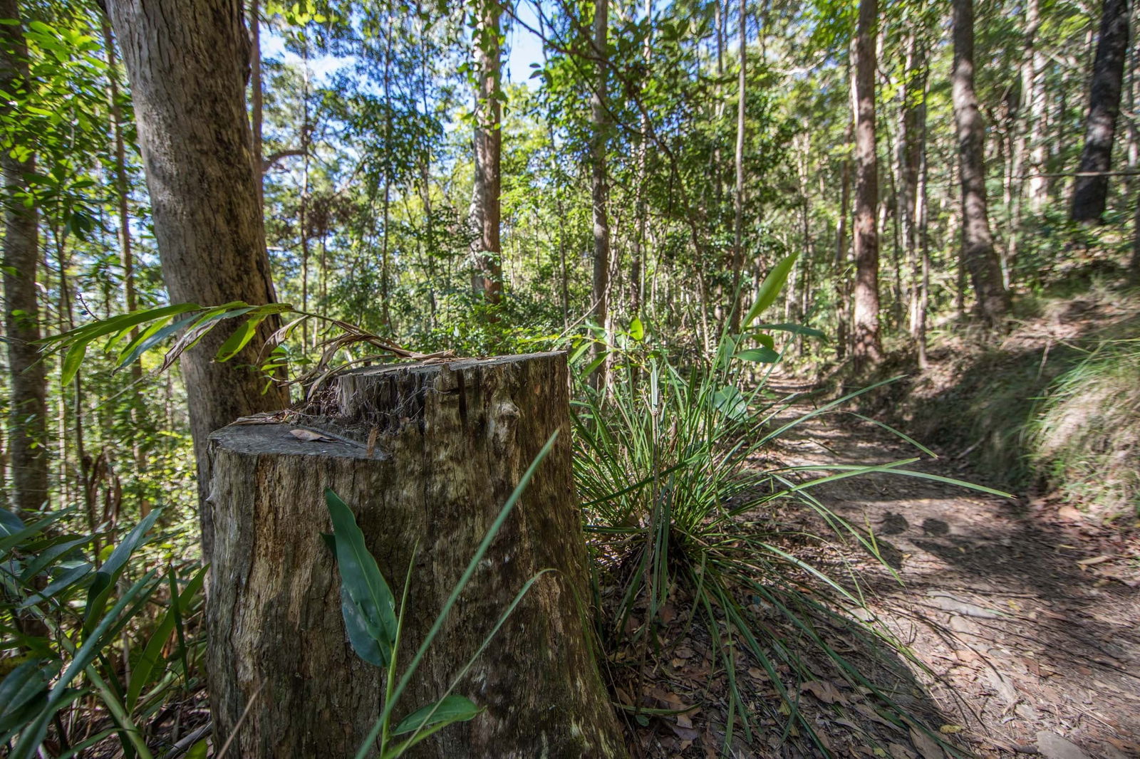 Mount Nebo QLD Attractions Sydney