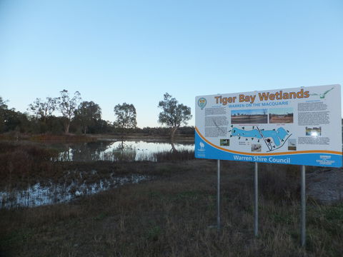 Tiger Bay Wetlands - Attractions Sydney 0