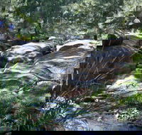 Towarri National Park - Attractions Sydney