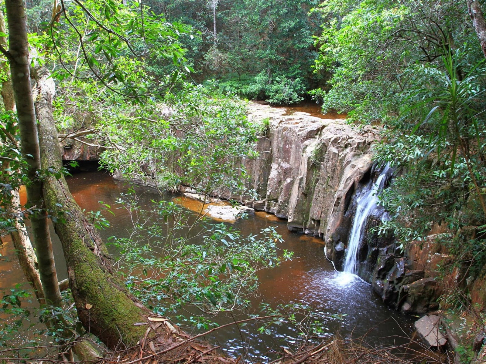 Waitui NSW Attractions Sydney