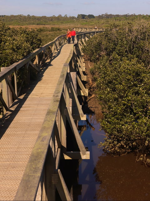 Warringine Park & Bittern Coastal Wetlands Boardwalk - Attractions Sydney 0