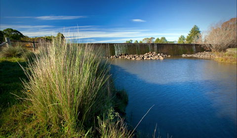 Weir View Walking Track - Attractions Sydney 0