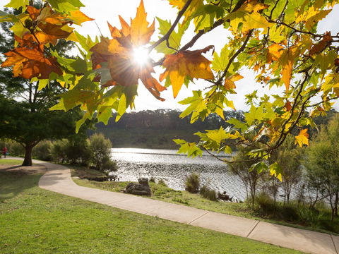 Wentworth Falls Lake - Attractions Sydney 0