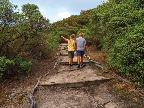 Woody Island Nature Reserve - Attractions Sydney 2