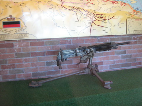 Woodpecker Gun - Attractions Sydney 0