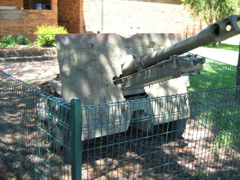 Woodpecker Gun - Attractions Sydney 1