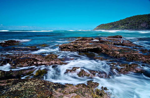 Wyrrabalong National Park - Attractions Sydney 0
