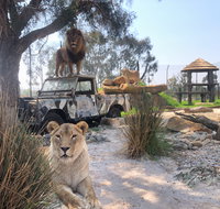 Zambi Wildlife Retreat - Attractions Sydney