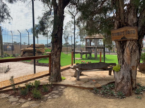 Zambi Wildlife Retreat - Attractions Sydney 1
