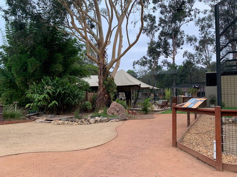 Zambi Wildlife Retreat - Attractions Sydney 2