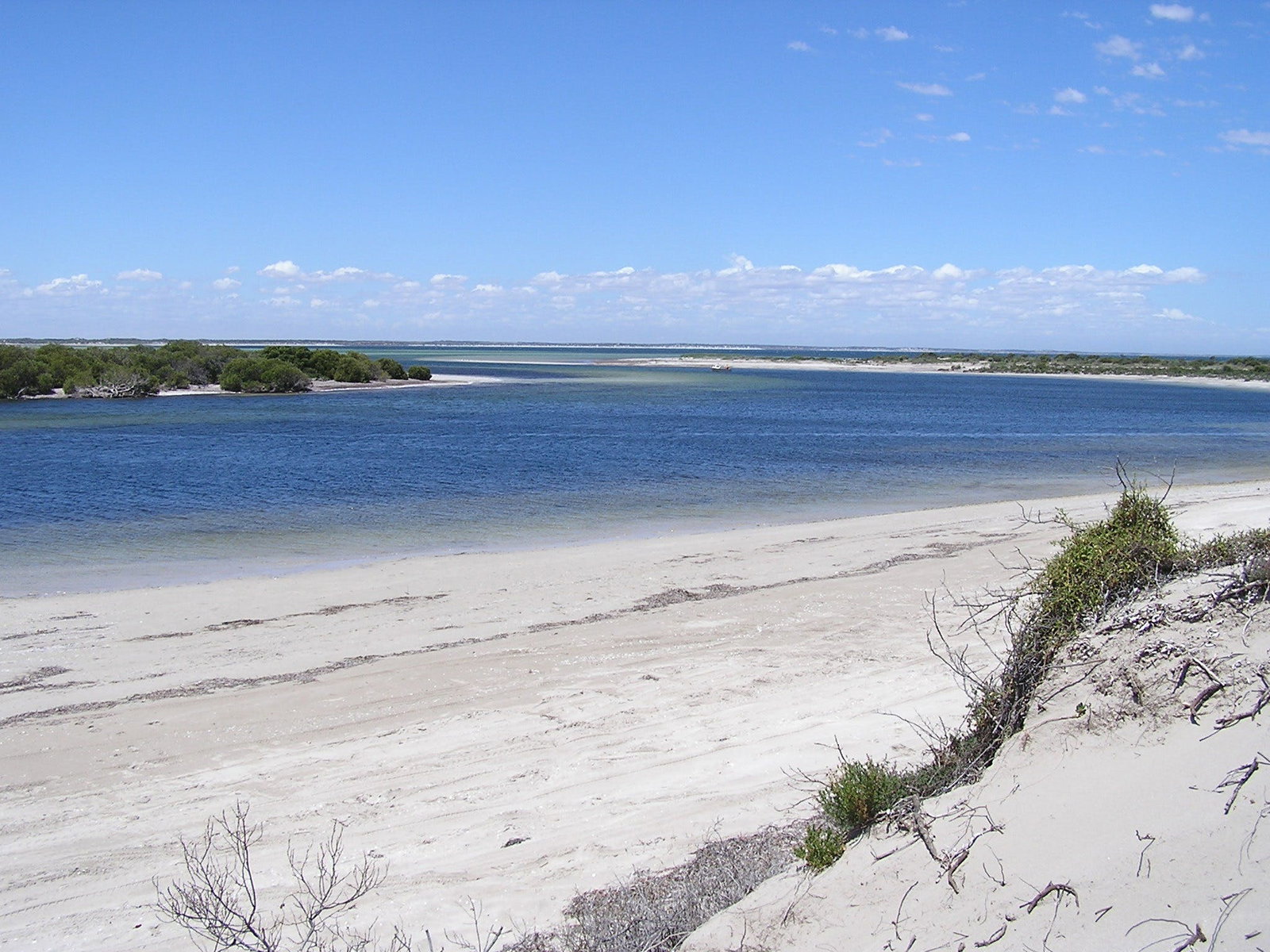 Smoky Bay SA Attractions Sydney