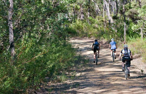 Andersons Trail - Attractions Sydney 0