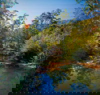 Bargo State Conservation Area - Attractions Sydney