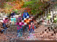 Beechworth to Everton Station 16km