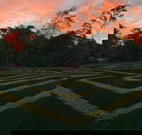 Bellingham Maze - Attractions Sydney