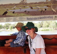 Bird Watching in Narrandera - Attractions Sydney